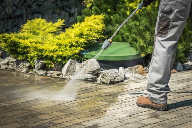 Best Roof Cleaning and Mildew Removal in Ladera, CA